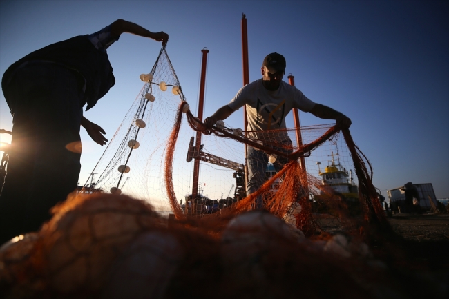 Batı Karadeniz'de balık bereketi